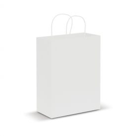 Paper Carry Bag Large - 107590