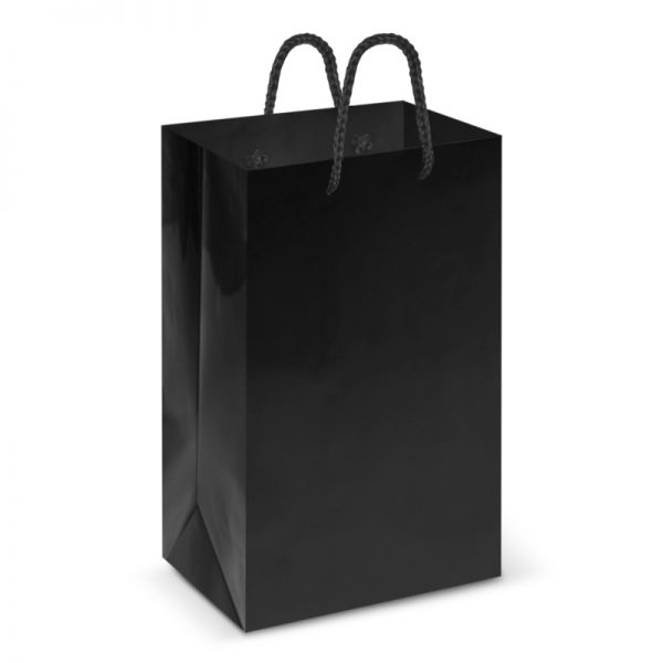 Laminated Carry Bag Small - 108511