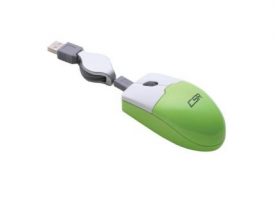 MM19 Mouse19