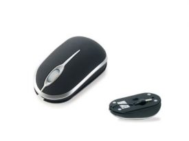 MM18 Mouse18