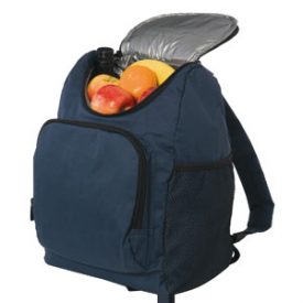 D579 Star Cooler Bag Back Pack