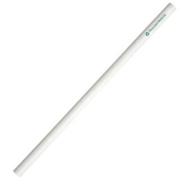 EC011 Recycled Paper Lead Pencil