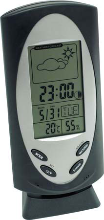 Corporate Weather Station -G313