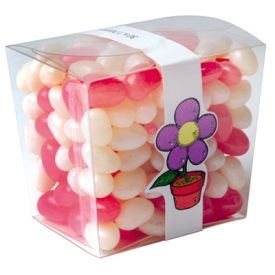 LL3154 Assorted Colour Jelly Beans In Clear Mini Noodle Box